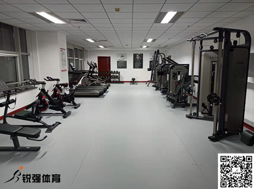 济南某集团采购的币游·国际提供的健身器材